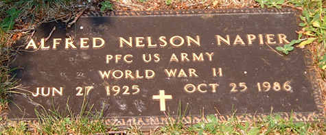 Alfred Nelson Napier Gravestone, Scottsville Cemetery