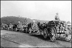 Wagonloads of Ties, ca. 1920
