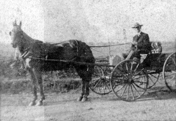 Dr. Percy Harris using his horse and buggy to make house calls, 1913