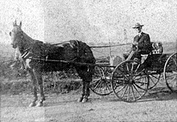 Dr. Harris used a horse and buggy to make house calls in 1913