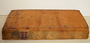 Business Ledger 