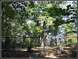 Mt. Ayre Cemetery
