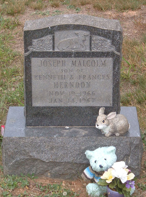 Joseph Malcolm Herndon