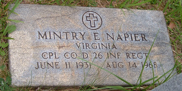 Mintry E. Napier Gravestone