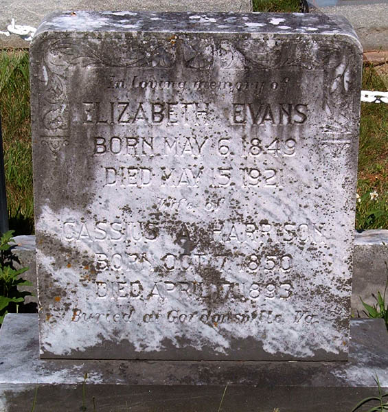 Cassius A. Harrison and Elizabeth Evans Harrison