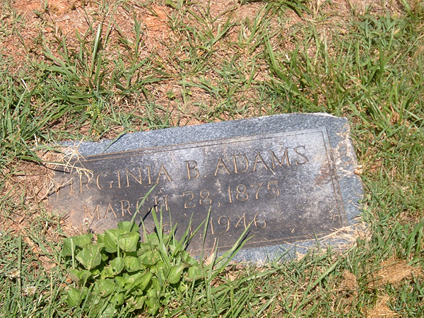 Virginia B. Adams