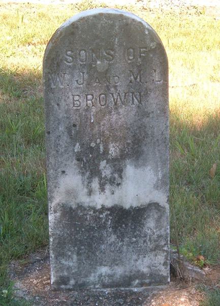 Sons of W.L. and M. L. Brown