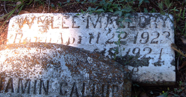 William Lee Mallory Gravestone