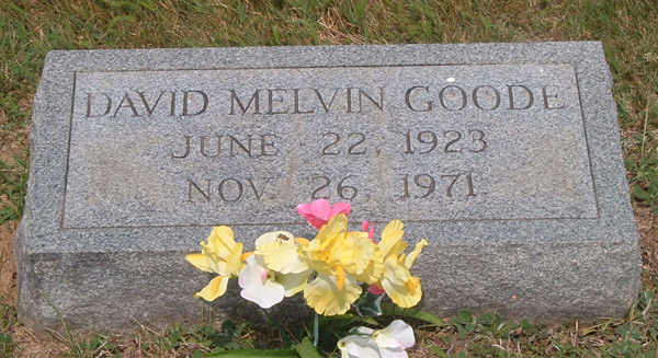 David Melvin Goode