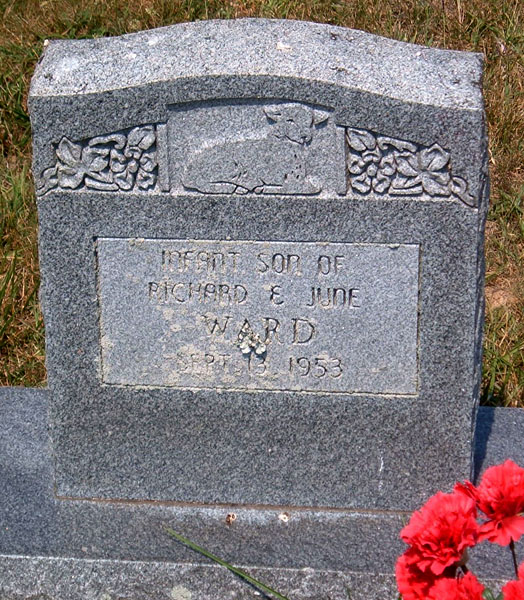 Infant Son of Richard and June Ward Gravestone