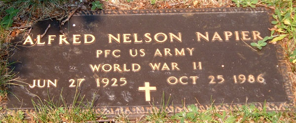 Alfred Nelson Napier Gravestone