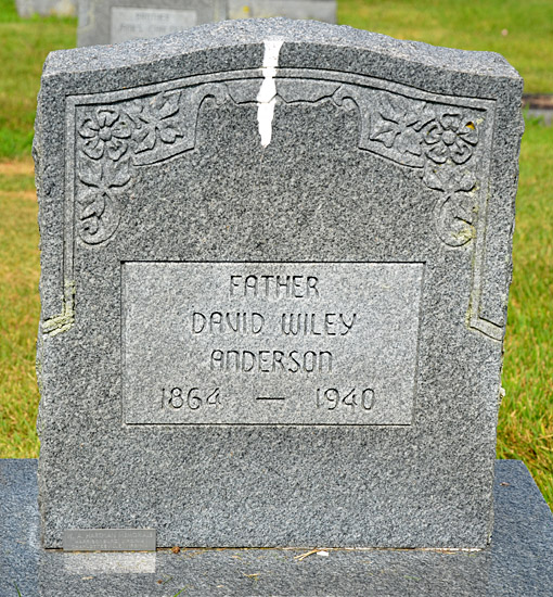 David Wiley Anderson 