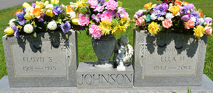 Floyd S. Johnson and Ella H. Johnson