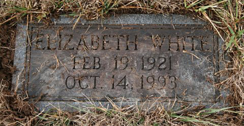 Elizabeth White Goodwyn Gravestone