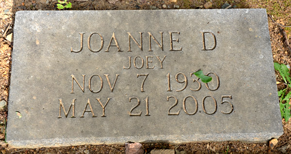 Joanne 