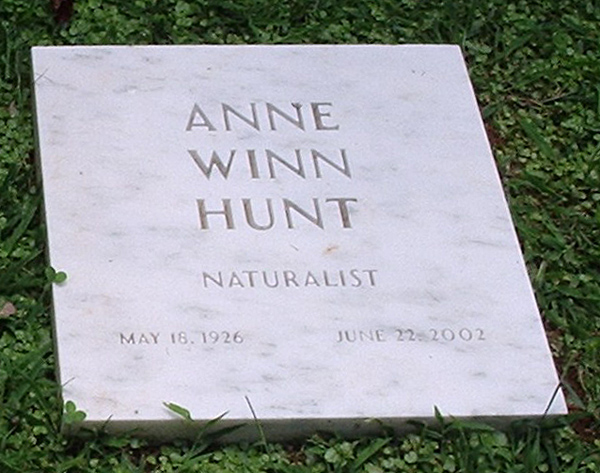 Anne Winn Hunt Gravestone, Christ Church Episcopal Cemetery