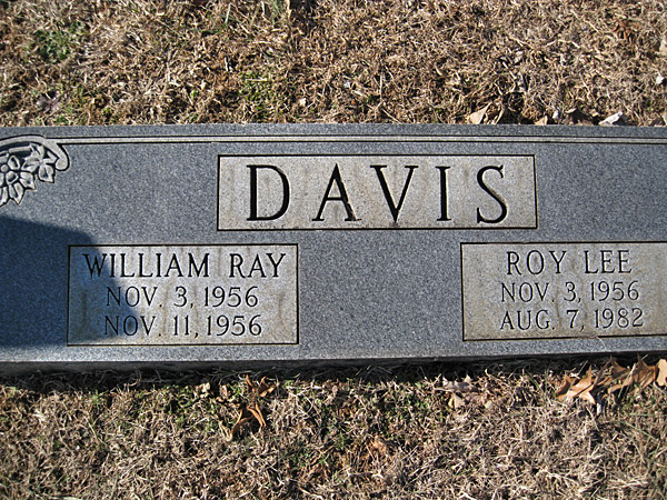 William Ray Davis and Roy Lee Davis