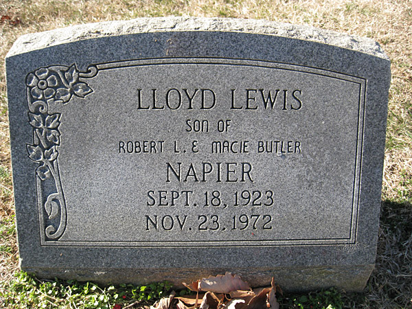 Lloyd Lewis Napier