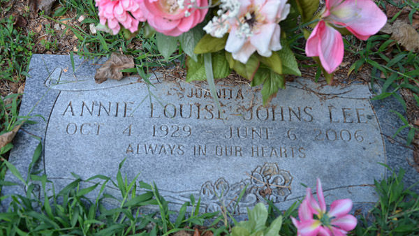 Annie Louise Johns Lee Gravestone, Mt. Pleasant Baptist Church Cemetery