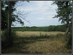 Staples Family Cemetery