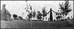 Mountain View Farm