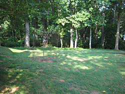Lewis Family Cemetery at Cliffside