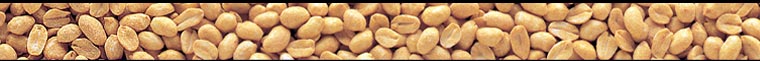 from www.kraftfoods.com