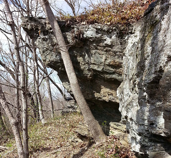 Snowden Cave, 2014; Photo by David Spears